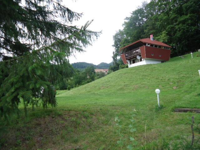 Chalet Contemporain Plein Nature Altenbach Extérieur photo