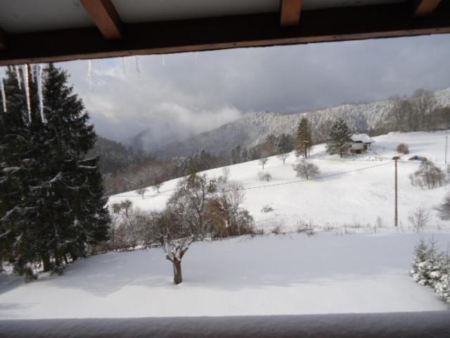 Chalet Contemporain Plein Nature Altenbach Extérieur photo